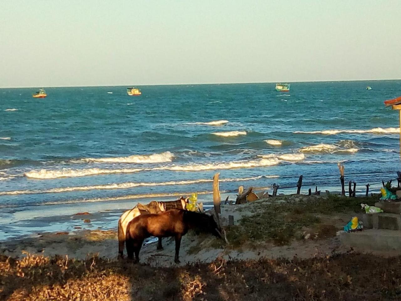 Pousada Chale Paraiso - Icapui Panzió Kültér fotó