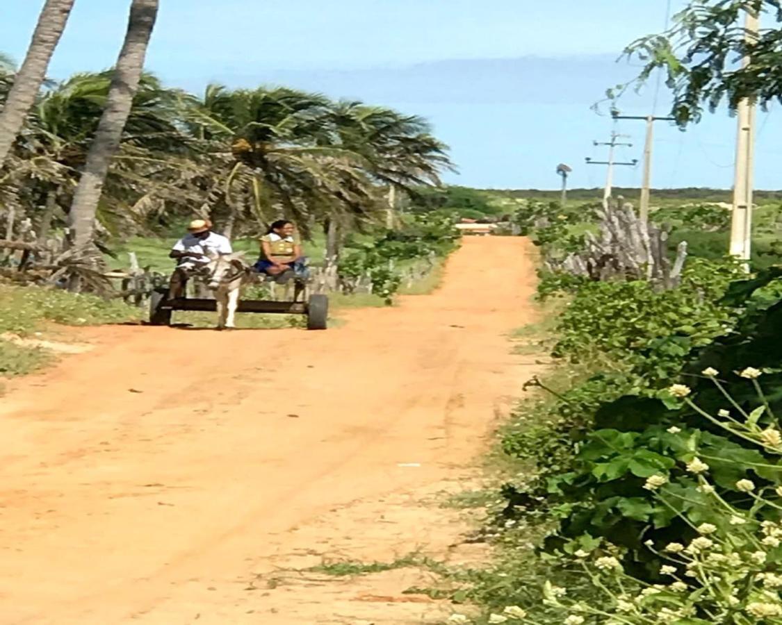 Pousada Chale Paraiso - Icapui Panzió Kültér fotó